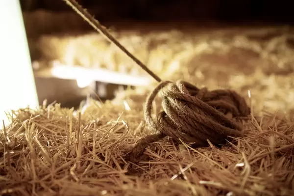 Ball of rope over hay