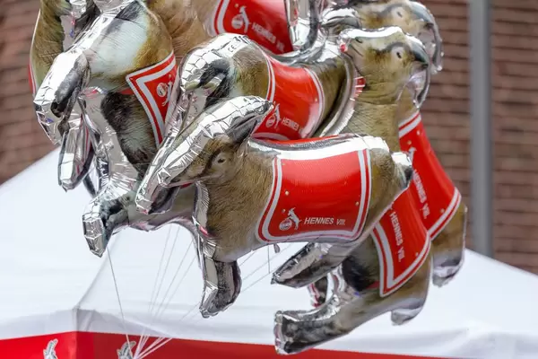 Ballons Hennes VIII.