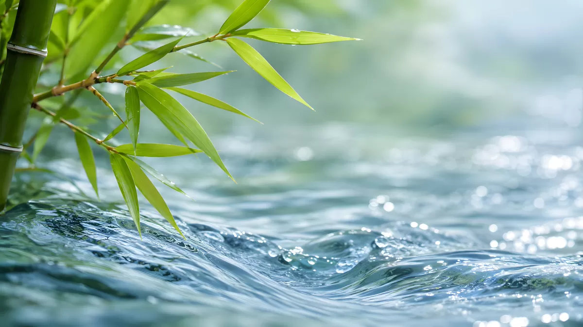 Bambus über klarem Wasser mit sanften Wellen