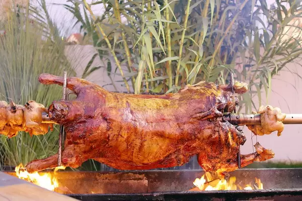 Barbecue Lamb (Flip 2019)