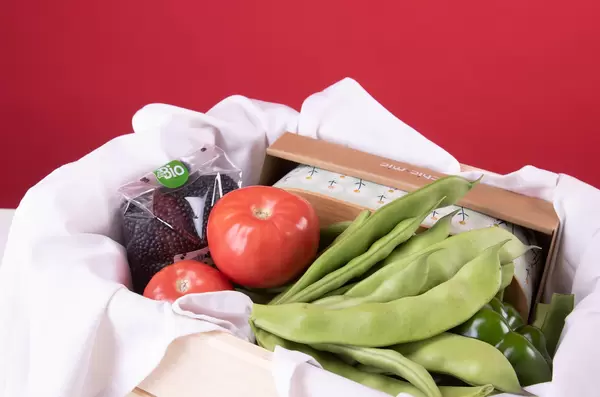 Basket full of home grown vegetables