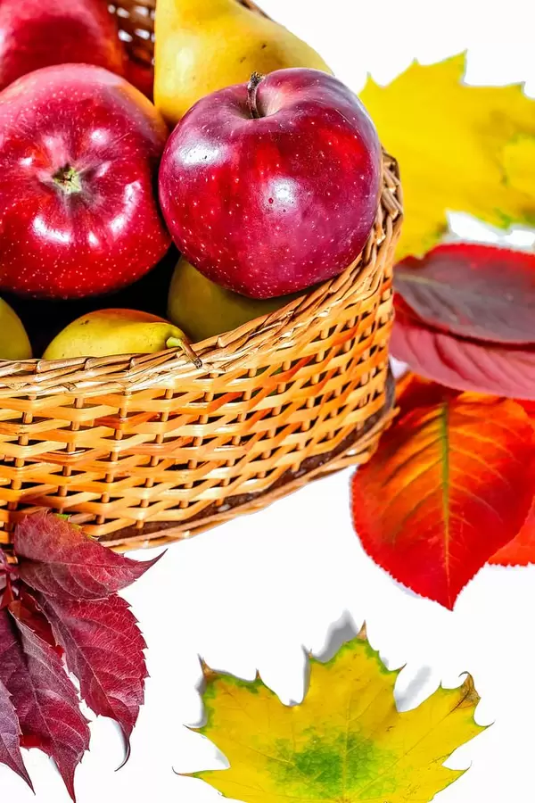 Basket with apples and autumn leaves