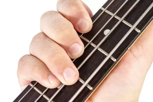 Bass Guitar Neck with Hand on the strings (Flip 2019)