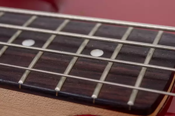 Bass Guitar Neck with Strings (Flip 2019)