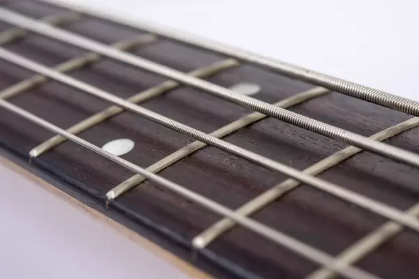 Bass Guitar Neck with Strings with blurred background (Flip 2019)