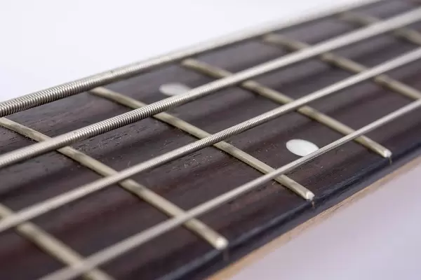 Bass Guitar Neck with Strings with blurred background