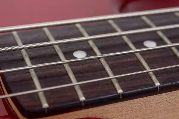 Bass Guitar Neck with Strings