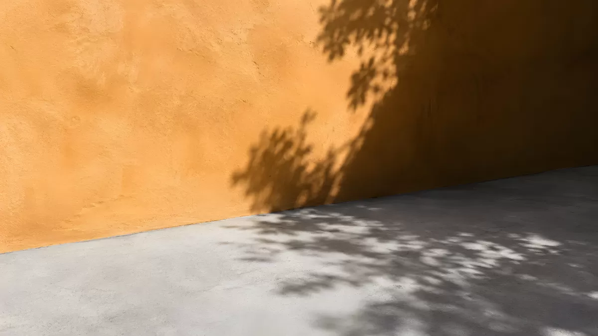 Baumschatten auf orangefarbener Wand und Betonboden
