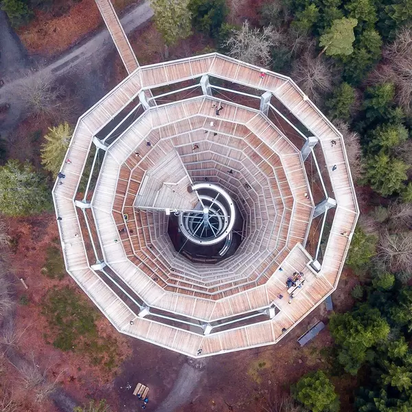 Baumwipfelpfad (2).jpg