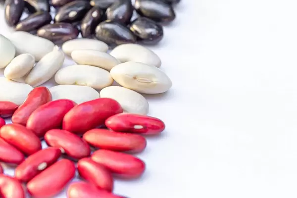 Beans of different varieties on a white background