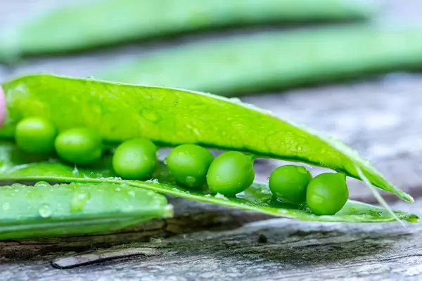 Beautiful close up of green fresh peas and pea pods