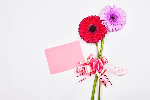 Beautiful daisy flowers with a blank card