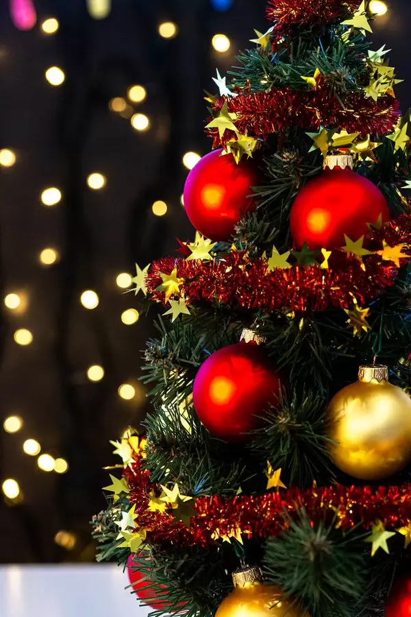 Beautiful decorated Christmas tree (Flip 2019)