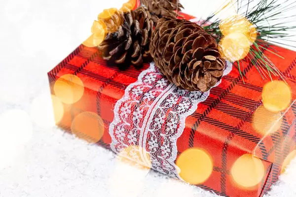 Beautiful gift red box decorated with Christmas tree branches and cones
