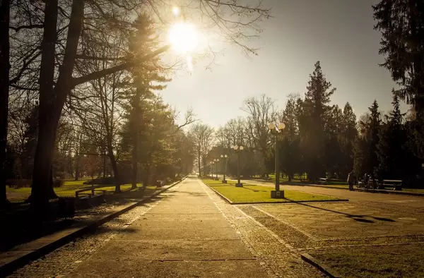 Beautiful park in Maribor