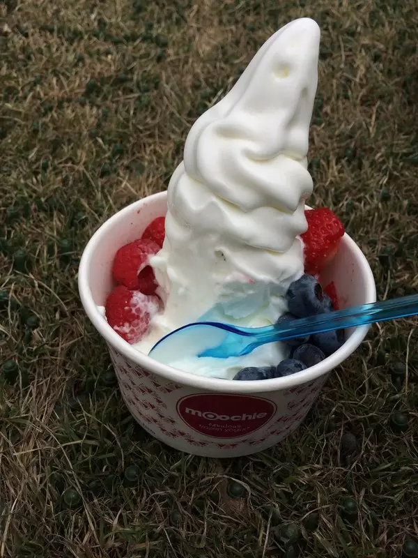 Beeren-Joghurt-Eis von Moochie - Musikfestival Tomorrowland 2014