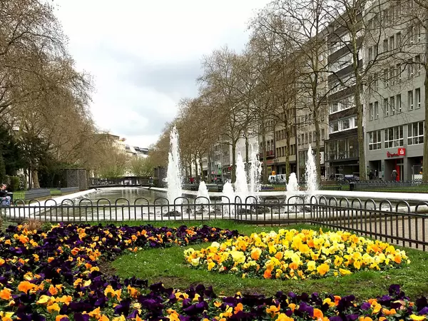 Beete auf Grünanlage Kaiser-Willhelm-Ring Köln