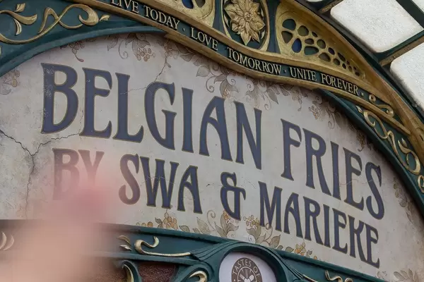 Belgian fries by Swa & Marieke at the Tomorrowland festival