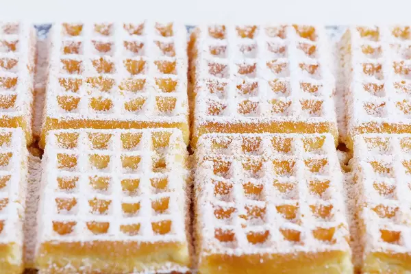 Belgian square waffles with powdered sugar (Flip 2019)