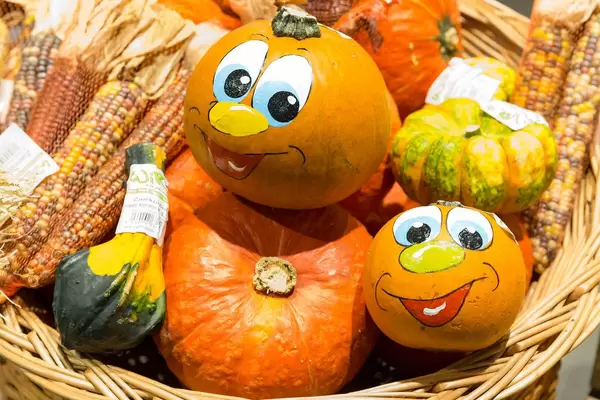 Bemalte K�rbisse und Maiskolben im Netz
