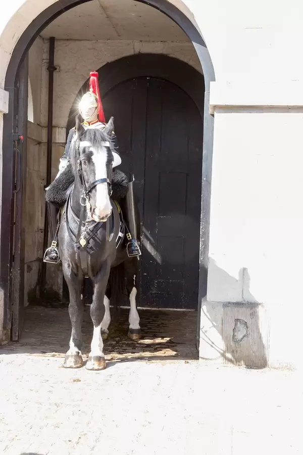 Berittener Gardist der The Queen's Life Guard