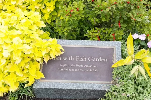 Beschreibung der Statue Man with Fish Garden im Shedd Aquarium