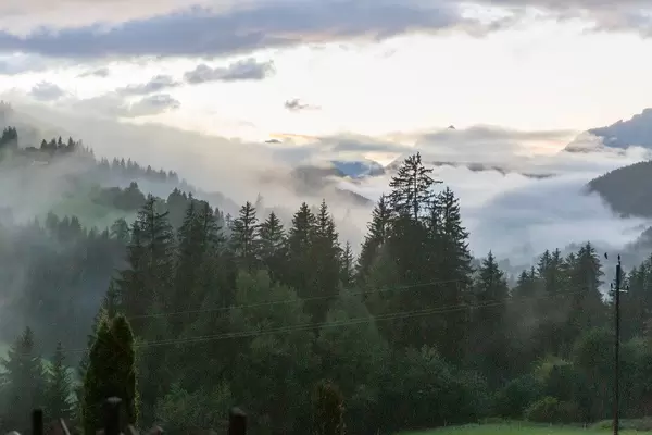 Bezaubernde Berglandschaft mit grünen Bäumen und tiefen Wolken in Tirol, Österreich