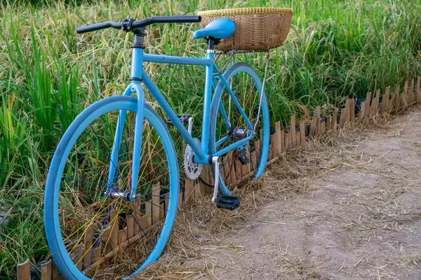 Bicycle with Basket in front of Green Grass in Saigon, Vietnam