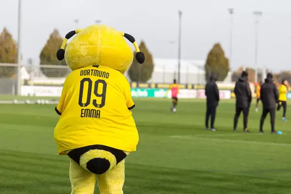 Biene Emma Borussia Dortmund Maskottchen schaut beim Training zu