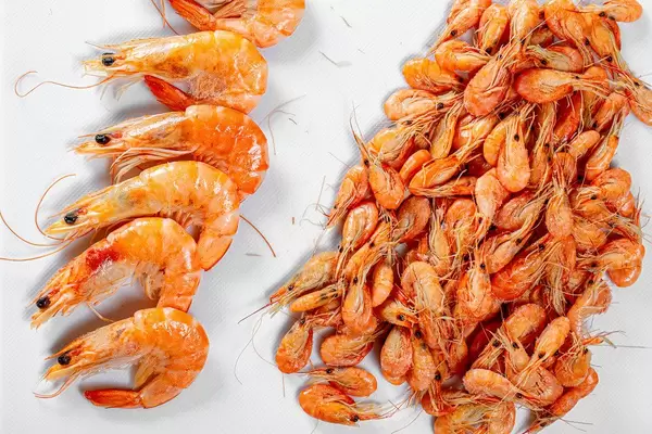 Big king prawns and a bunch of little ones on a light background