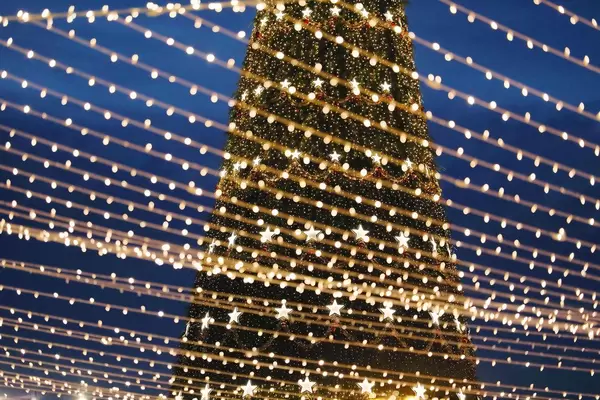 Big outdoor Christmas tree seen through street lights (Flip 2019)