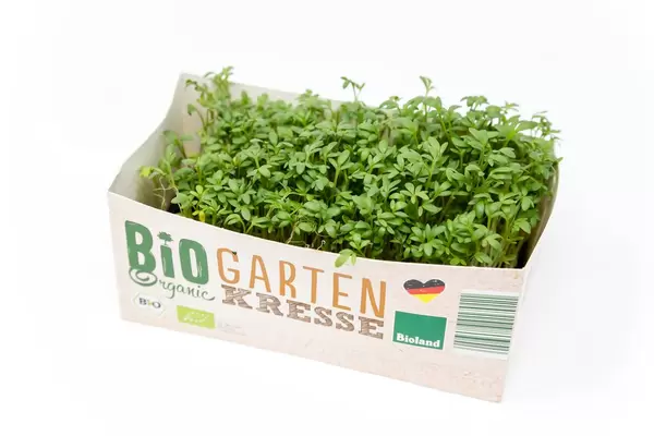 Bioland Garten Kresse "Bio Organic" aus Deutschland im kleinen Papkarton, isoliert auf weißem Untergrund