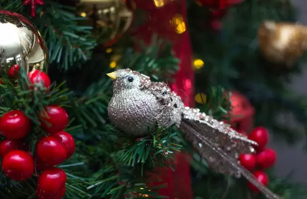 Bird Christmas  ornement  (Flip 2019)