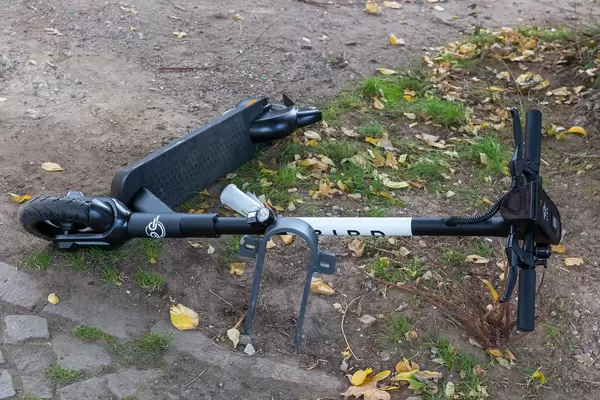 Bird Elektroroller auf dem Gehweg neben einer Grünfläche umgefallen auf dem Boden liegend