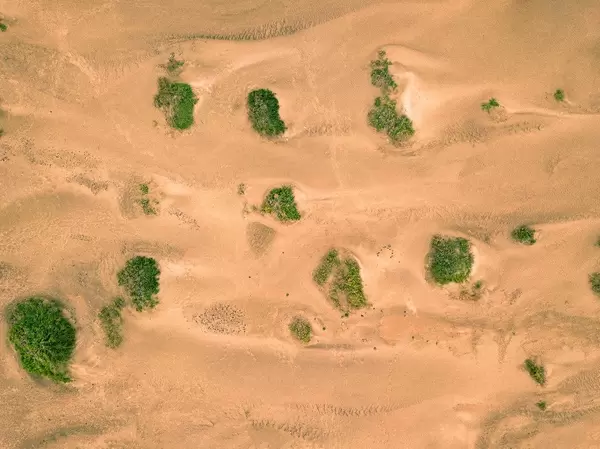 Bird eye view of desert