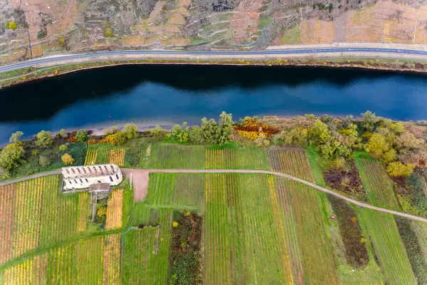 Bird View Drone Photo of Historical Landmark Kloster Ruine Stuben next to River Moselle and Highway B49 near Municipality Bremm in Germany