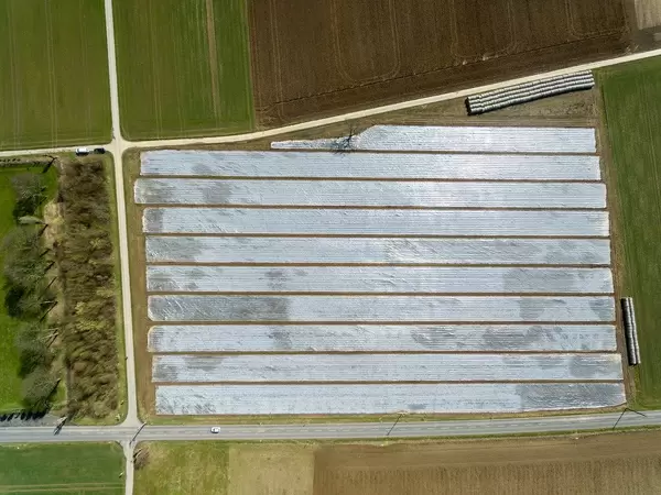 Bird's eye view of a field under foil