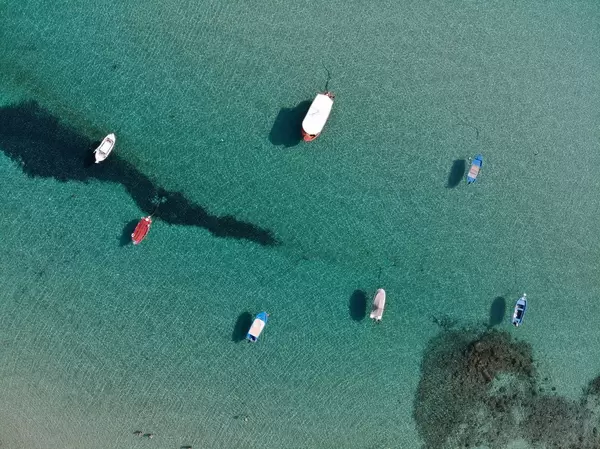 Bird's eye view of colorful boats berth at sea