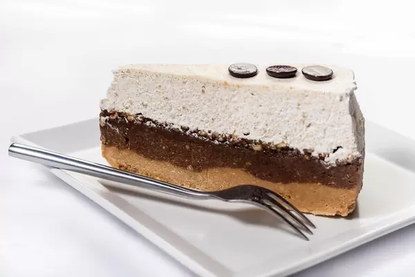 Biscuit Cake with Chocolate and Whipped Cream