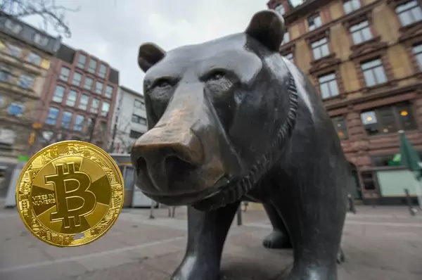 Bitcoin Bear Market