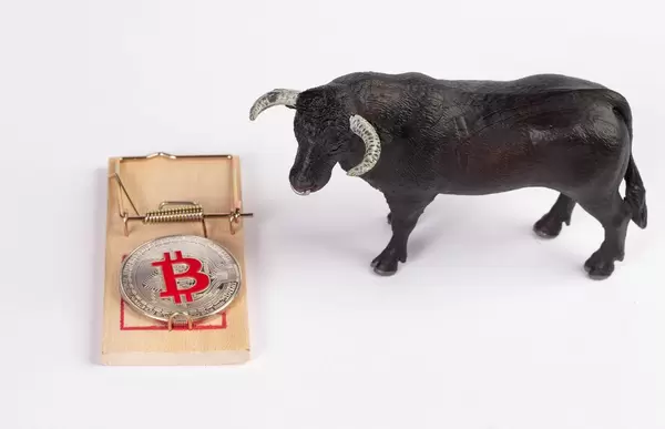 Bitcoin bull trap concept