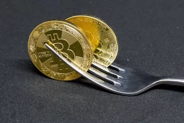 Bitcoin-Fork