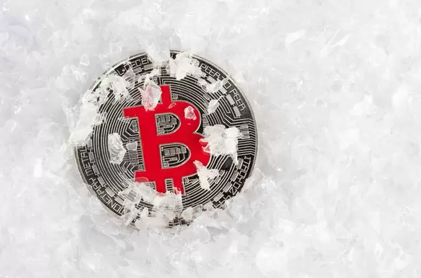 Bitcoin überlebt den Krypto-Winter