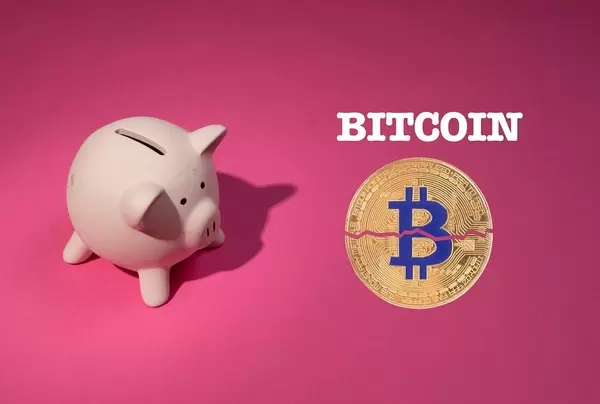 Bitcoin with piggy bank on pink background
