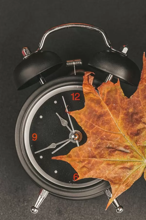 Black alarm clock with dry autumn maple leaf