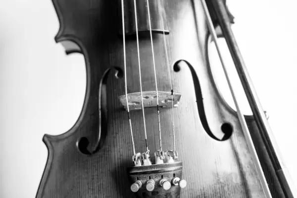 Black and white violin close-up