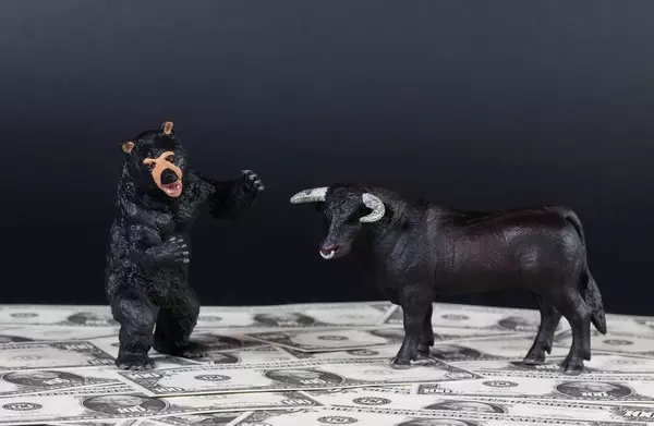 Black bear and bull standing on money