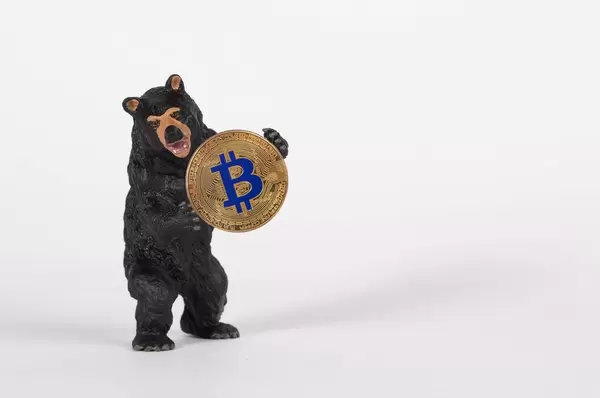 Black bear holding golden Bitcoin