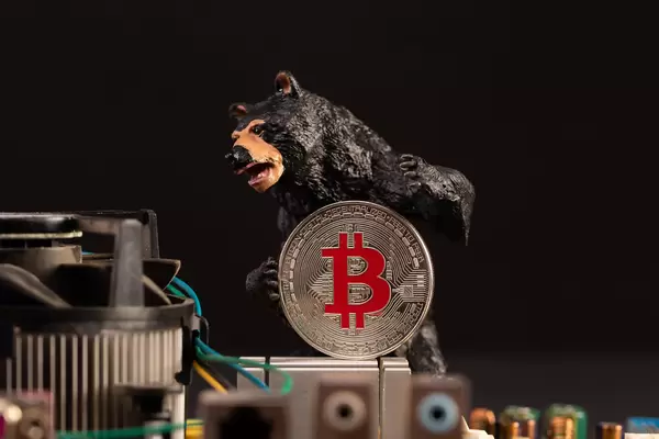 Black bear holding silver Bitcoin coin with computer parts