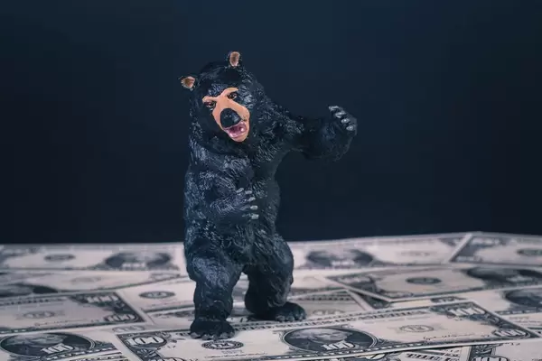 Black bear standing on US dollar banknotes